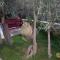 Rustic Villas Barlovic