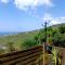 Poz Tropicale
