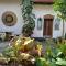 Orchid Home