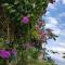 Karlsson's Guesthouse - Larena
