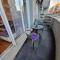 ANAMARIE Apartment, free parking, Belgrade, Center, SRB - 弗拉查尔（历史区）