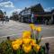 Couples getaway in central Windermere, ground floor flat with parking - Windermere
