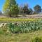 La Picholine chambre Provence