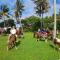 Private Oceanfront Fijian Villa Sleeps 8 - Malolo