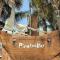 Crane's Landing at Pirates Bay - ميناء أرانساس