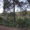 Chalet Font de Sa Cala - Font de Sa Cala