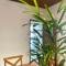 Casa Jabuticaba a 5 min dos Thermas e Hot Beach