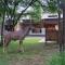 Dream of Africa Bush Lodge