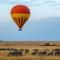 The Lazy Leopard Lodge - Hoedspruit