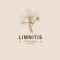Limnitis Traditional House - Limnitis