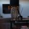 Luxury home Egmond
