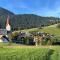 Almtraum Berwang