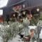 Cabana Rustic