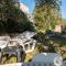 Beachfront apartment Lostura
