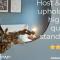 Host & Stay - High Street Cottage