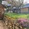 L ours - Aragnouet