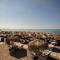 Aretousa apt, next to the beach!