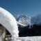 Chalet Le Paddock