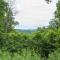 Blue Ridge Bliss Gorgeous home with hot tub & stunning views