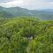 Blue Ridge Bliss Gorgeous home with hot tub & stunning views