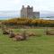 2 Bed in Lochranza 77882