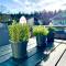 Schwarzwaldliebe Ferienwohnung mit eigenem Garten