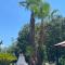 Villa Aladin