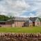 Dryburgh Steading One - Saint Boswells