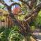 Santa Rosa Wine Cottage with Spa Amenities