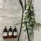 Santa Rosa Wine Cottage with Spa Amenities