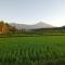Hendra Homestay