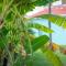 Starfish, splendide appartement proche de la plage - 圣弗朗索瓦