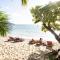 Blue Lagoon Beach Resort