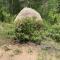 Private 313 Acre retreat/lakes/direct forest entry
