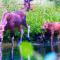 Private 313 Acre retreat/lakes/direct forest entry