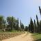 Tenuta Angelici Winery Casa Contea with pool and panoramic pool Cortona