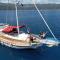 Blue Cruise