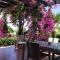 Joya Cyprus Maroon Garden Apartment