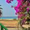Boutique Apartments Ibiscus