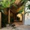 Muy Bacalar