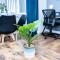 2ndHomeStays-Walsall- A Charming 3-Bed Home with Landscape View - Suitable for Contractors and Families -Large Parking for 3 Vans - Sleeps 8 - 7 mins to J10 M6 and 21 mins to Birmingham - Bloxwich