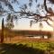 Millas Vineyard Estate