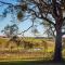 Milla's Vineyard Estate - Pokolbin