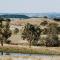 Canguri Boutique - A Memorable Farmstay near Mudgee - Piambong