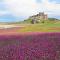 3 Bed in Bamburgh CN025