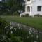 Niharika, The Old Place