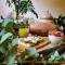 BE Jardin Escondido By Coppola