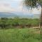 Samburu Dik-Dik House & Susuk Self-catering Cottage - Archers Post