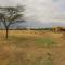 Samburu Dik-Dik House & Susuk Self-catering Cottage - Archers Post