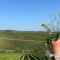 La Terrazza sul Chianti